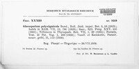 Image Associated With the Occurence